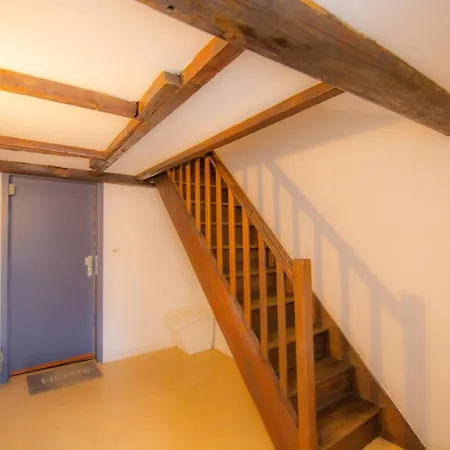 Marche Pop Stan Nancy